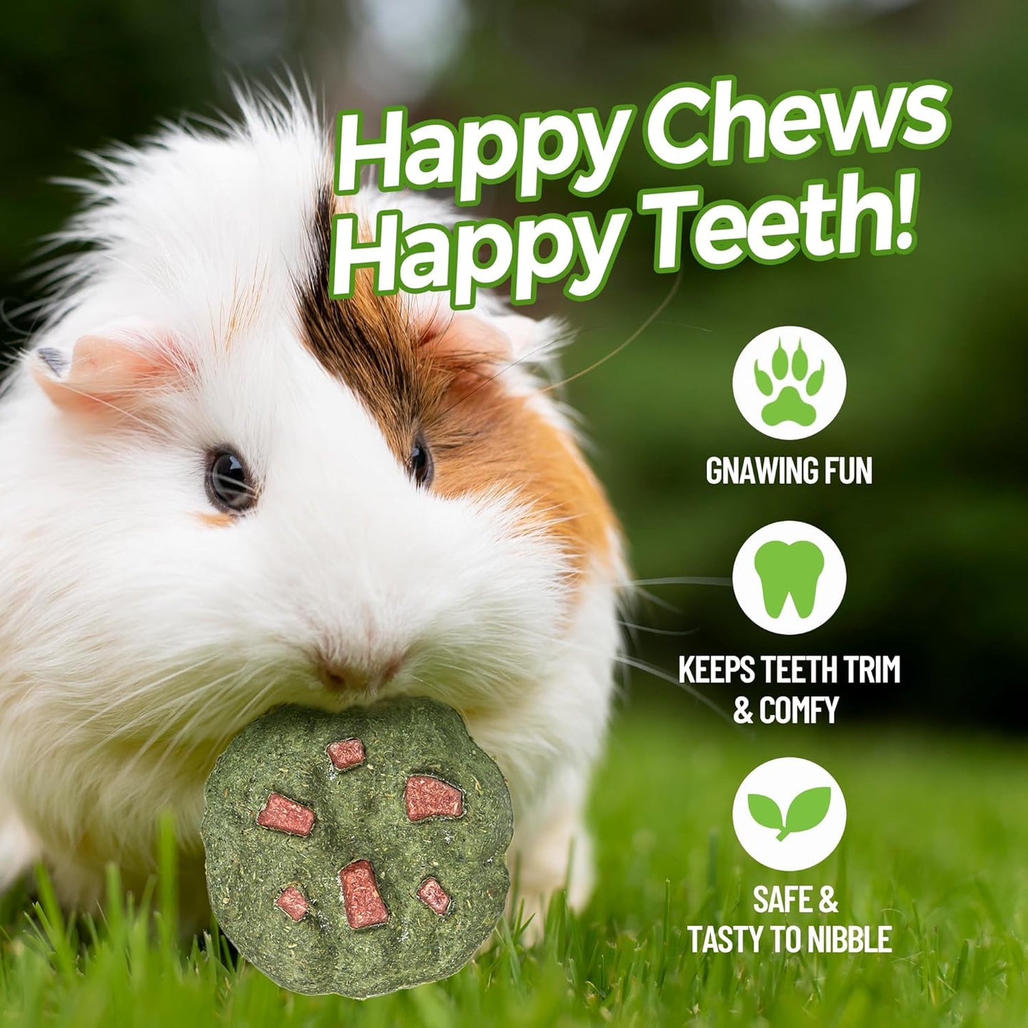 TEEWY Cookie Guinea Pig Toys, Natural Vegetables, Fruits and Timothy, Hamster Chew Toys for Teeth, Hamster Chews for Guinea Pig, Gerbil, Chinchilla and Rat, 3PCS