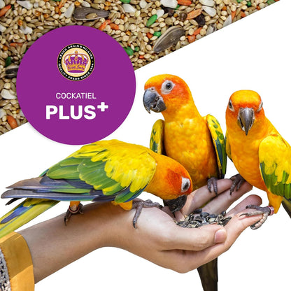 Cockatiel Plus 5 Lbs, Cockatiel Bird Seed, Nutrient-Rich Mixed Birdseeds, Bird Food for Cockatiels, Natural Mixed Seeds for Other Small Parrot, Support Daily Growth Energy and Healthy Balanced Diet