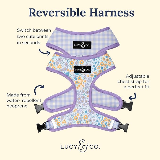 Lucy & Co. Cute Reversible Dog Harness Walking Halter - Best Designer Pet Harnesses for XS - XL Dogs - Padded Adjustable Vest for Easy Walking (X-Small, Among The Wildflowers - Purple Floral)