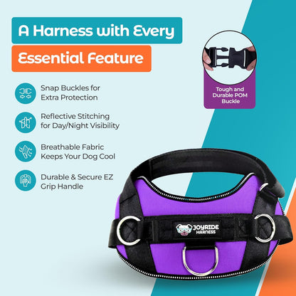 Joyride Basic Essential Dog Harness 1.0 - Small, Medium, Large Dogs, No-Pull Pet Vest with 3 Side Rings for Leash Placement, Adjustable for Training (Purple Majesty, M)