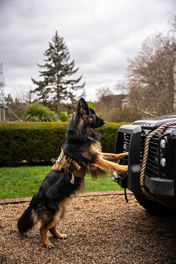 OneTigris Tactical Large Dog Harness, 5X Metal Buckled No Pull Service Dog Harness Vest with Hook & Loop Panels, Military Heavy Duty Dog Vest for Walking Hiking Training