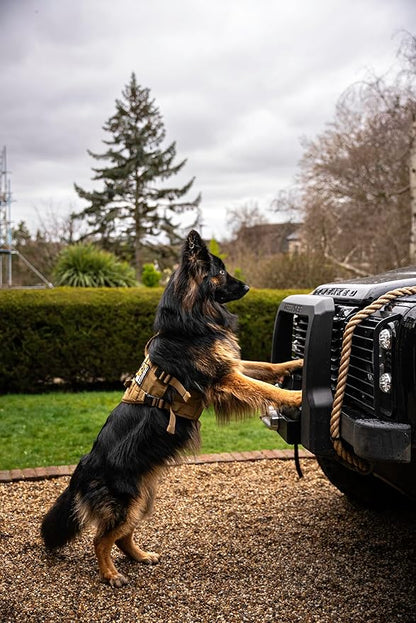 OneTigris Tactical Large Dog Harness, 5X Metal Buckled No Pull Service Dog Harness Vest with Hook & Loop Panels, Military Heavy Duty Dog Vest for Walking Hiking Training