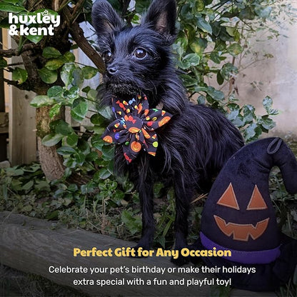 Huxley & Kent Halloween Funny Dog Toy w/Squeaker – Power Plush Squeaky Dog Toys for Small, Medium & Large Dogs – Soft Stuffed Animal for Indoor Play & Fetch - Witch Hat, One Size