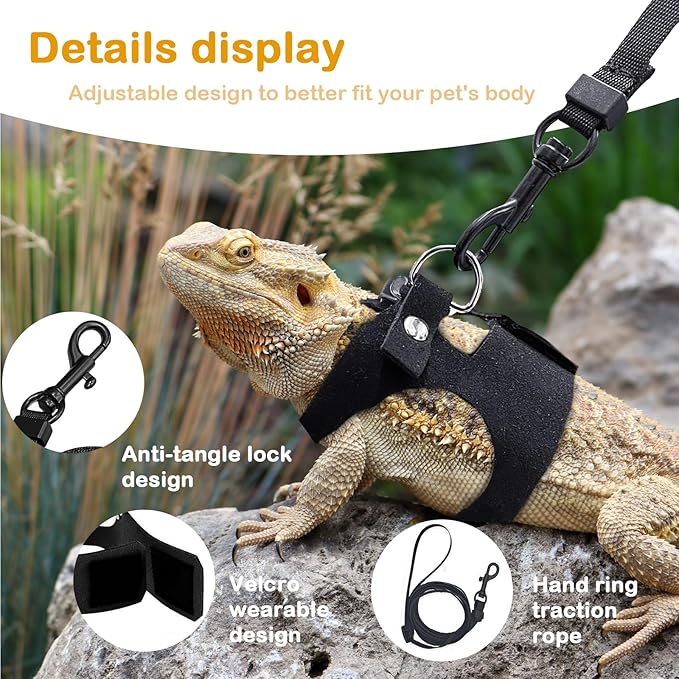 Bearded Dragon Leash and Harness Set - 3-Size Adjustable Soft Leather Vest for Training & Walking, Easy-On-and-Off Design (Black, 2M)