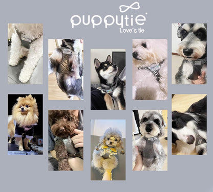 Puppytie No Pull Small Dog Harness with Multifunction Dog Leash,Lightweight Soft Adjustable No Choke Escape Proof Pet Harness Vest Pet Harness Vest,Glossy Grey,S