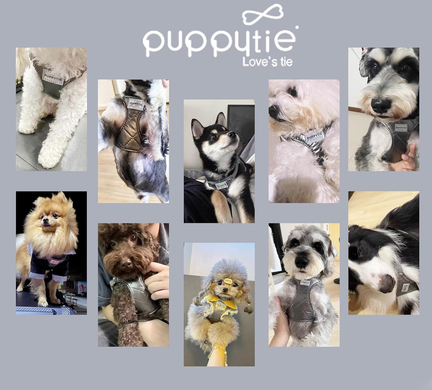 Puppytie No Pull xs Dog Harness with Multifunction Dog Leash,Soft Adjustable No Choke Escape Proof Pet Harness Vest,Glossy Grey,XS