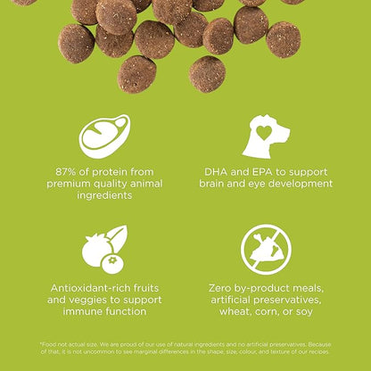 Go! Solutions Carnivore, Grain-Free, Protein Rich Dry Dog Food, Chicken, Turkey and Duck Puppy Recipe, Small Kibble, 3.5 lb Bag