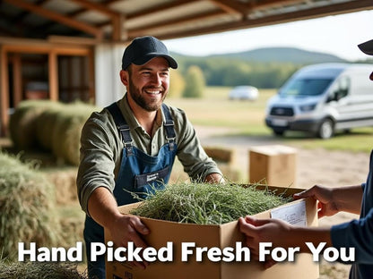 Blue Mountain Hay | Fresh 2nd Cutting Timothy Grass Hay (15 Ounce) | Soft & Leafy, Balanced Nutrition | High-Altitude Hay Pet Food for Adult Rabbits, Guinea Pigs, Chinchillas, and Other Small Pets