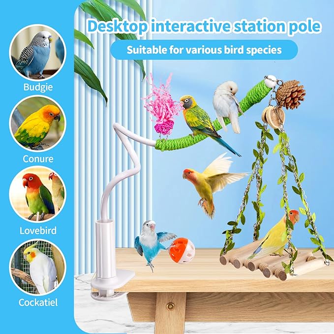 Bird Perch Stand with Flexible Climbing Ladder, Bird DesktopTraining Toy, Parakeet Playground Play Stand for Lovebirds Conure， Mount for Budgie, Cockatiel, Conure or Other Small Sized Birds