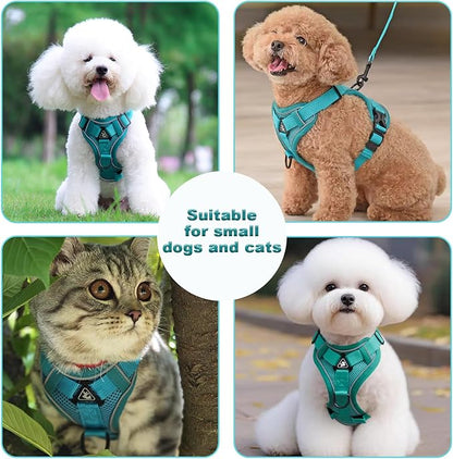 SOLMOONY Small Dog Harness,Soft Mesh Puppy Harness and Leash Set,No Escape Cat Harnesses for Training Walking,Reflective Adjustable Puppy Vest for Small Medium Dogs, Cats (Turquoise, L)