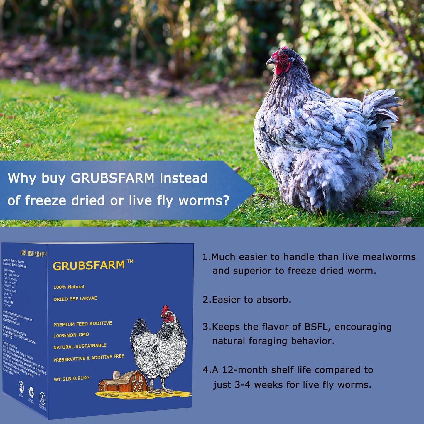 Premium Chicken Treats 2LB - Non-GMO & 85X More Calcium Than Meal Worms - Molting & Laying Supplement - BSF Larvae Treats for Layer Hens, Ducks Wild Birds