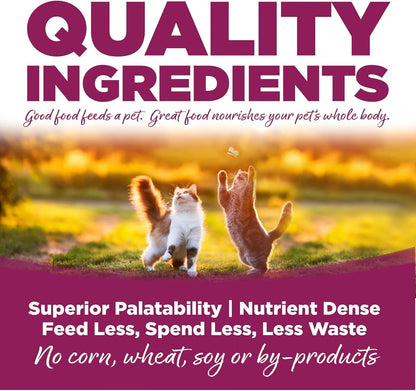 NutriSource Cat & Kitten Food, Chicken and Rice, 4LB