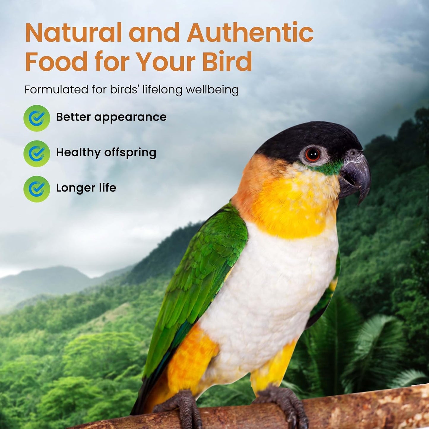 Harrison's Bird Foods High Potency Fine Certified Organic Non GMO Formula Bird Food 25lb