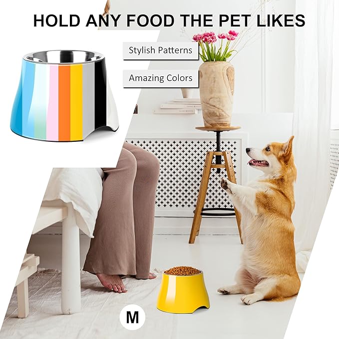 Dog Bowls,Cone Friendly Non-Slip Single Dog Bowl with Stainless Steel Inner, Raised Bowls for Small Dogs Spaniel Dogs Long Ear, High Capacity, M/2 Cup Yellow