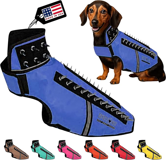 CoyoteVest SpikeVest Dog Harness Vest for Small Dogs, Reflective Dog Vest with Spikes to Shield Your pet from Coyotes, Raptor and Animal Attacks, Anti Hawk Vest, Made in USA (M-Royal Blue)