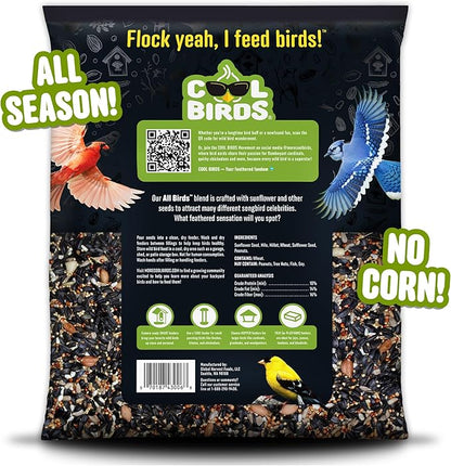 All Birds Wild Bird Seed – 10 lb. Classic Blend with Black Oil Sunflower, White Millet, Safflower, Peanuts & Sunflower Hearts – Balanced Bird Food for Outside Feeders