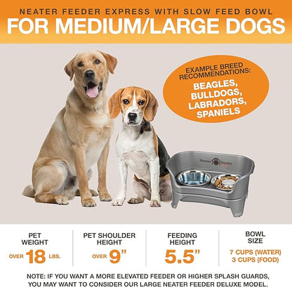 Neater Feeder - Express Model w/ Slow Feed Bowl - Mess-Proof Dog Bowls (M/L, Grey) Made in USA – Elevated, No Spill, Non-Tip, Non-Slip, Raised Stainless Steel Food/Water Pet Bowls Aid Digestion