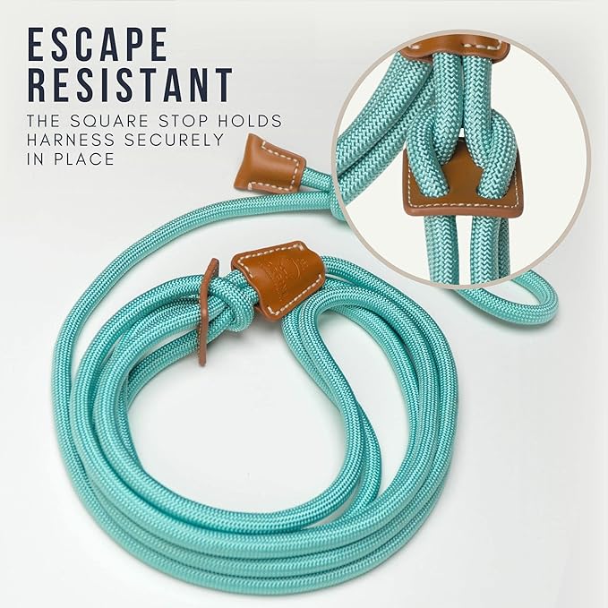 Mini Pig Harness & Leash (S/M) - Fully Adjustable, Infinity Style Lead, Step-in Harness, Potbelly Supplies, All-in-One - Ideal for Small & Medium Pet Pigs (Small, Eggshell Blue)