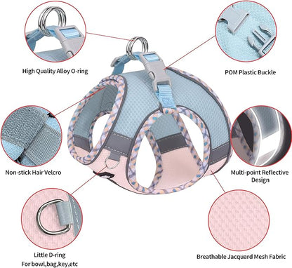 AIITLE Dog Harness and Leash Set - Ultra-Comfortable XXS-XL Vest with Strong Magic Tape & Glow-in-Dark Reflective Strips, Chafe-Free for Teddy, Schnauzer (Blue-Pink, M)