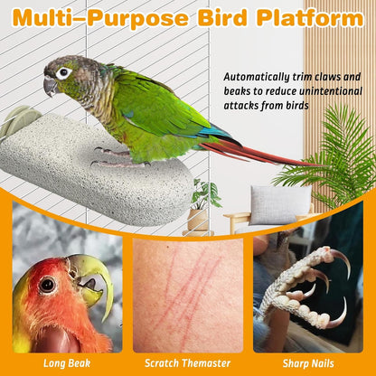 PINVNBY 6 PCS Large Bird Cage Perch Natural Parrot Beak Grinding Stone Calcium Parakeet Chew Toy Bird Stand Platform for Cockatiel Conure Lovebird Finch