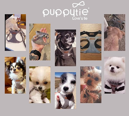 Puppytie No Pull Small Dog Harness with Multifunction Dog Leash,Lightweight Soft Adjustable No Choke Escape Proof Pet Harness Vest Pet Harness Vest,Silver Grey,S