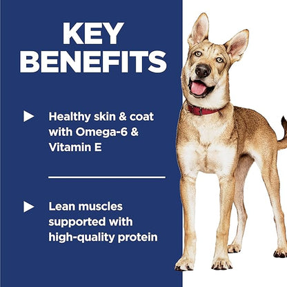 Hill's Science Diet Adult 1-6, Adult 1-6 Premium Nutrition, Dry Dog Food, Salmon & Brown Rice, 14 lb Bag