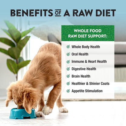 Northwest Naturals Freeze-Dried Lamb Dog Food - Bite-Sized Nuggets - Grain-Free, High-Protein, Human-Grade, Limited Ingredients, All Natural, Nutrient-Dense, Healthy & Nutritious - 12 Oz (Pack of 2)