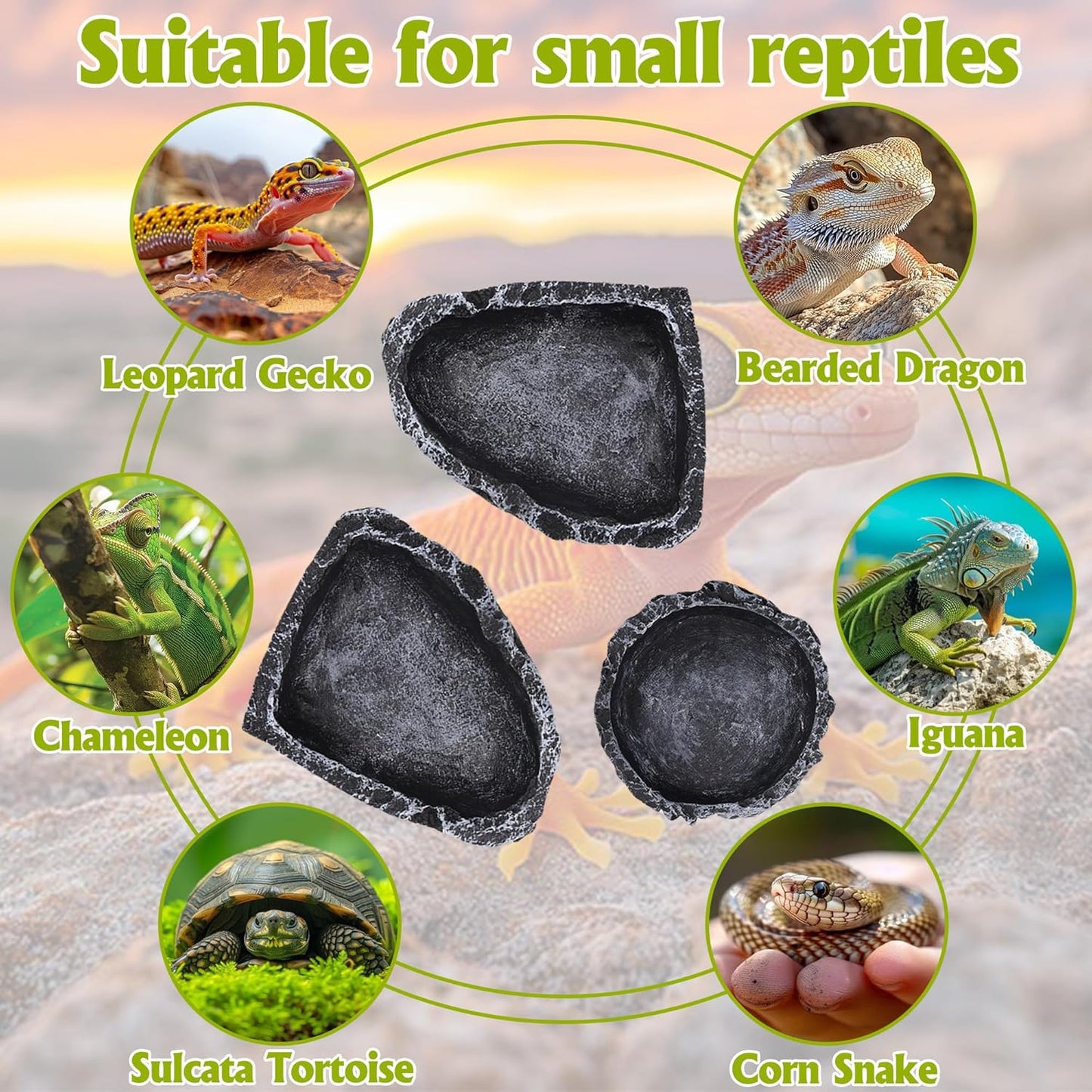 3 Pack Reptile Water Dish, Samll Snake Water Bowl, Leopard Crested Gecko Tank Accessories, Bearded Dragon Food Dish, Feeding Dish Kit for Tortoise, Lizard, Frog, Hermit Crab (3 Pack)