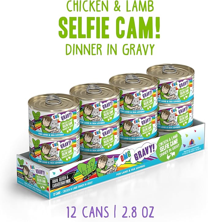 Weruva B.F.F. OMG - Best Feline Friend Oh My Gravy!, Selfie Cam! with Chicken & Lamb in Gravy Cat Food, 2.8oz Can (Pack of 12)