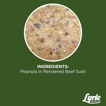 Lyric Peanut Pieces High Energy Suet Cakes for Wild Birds, 12 oz. (12 Pack)