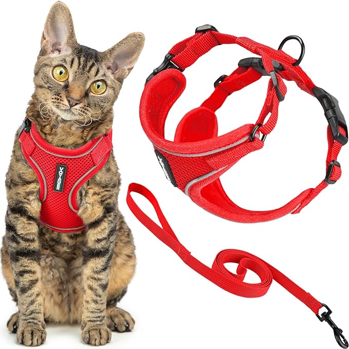 Voyager Escape Proof Cat Harness and Leash Set with Reflective Stitching, Neoprene Handle 5ft - Supports Small, Medium and Large Cats, Kittens for Walking by Best Pet Supplies - Red, XXS