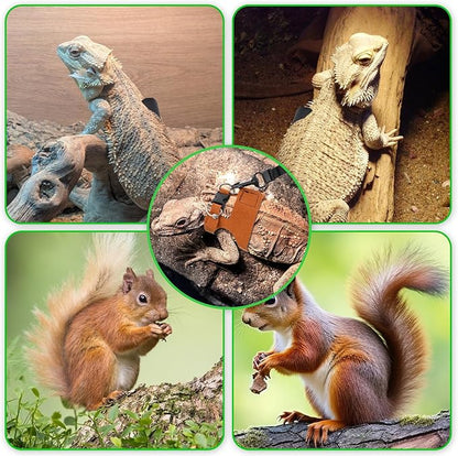 3 Sizes Bearded Dragon Harnesses and Leash Set, Adjustable Soft Leather Lizard Leash Harness Small Animal Walking Vest with Traction Rope for Small Reptiles Squirrel Rat Bearded Dragon Lizard