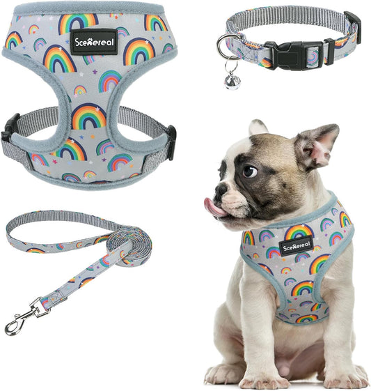 SCENEREAL Small Dog Harness Collar and Leash Set, Adjustable No Pull Pet Harnesses, No Chock Soft Mesh Step in Vest for Doggie Puppy Medium Dogs Cats Girl or Boy,Chihuahua, Yorkie, Outdoor Walking