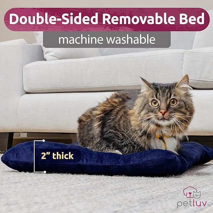 Soft-Sided Cat & Dog Pet Carrier, Large 24"x16"x16", Fits Large Cat, 2 Cats, or Medium Dog Comfortably, Great for Travel & Vet Visits, Privacy Windows, Removable Bed, Locking Zippers, Folds Flat