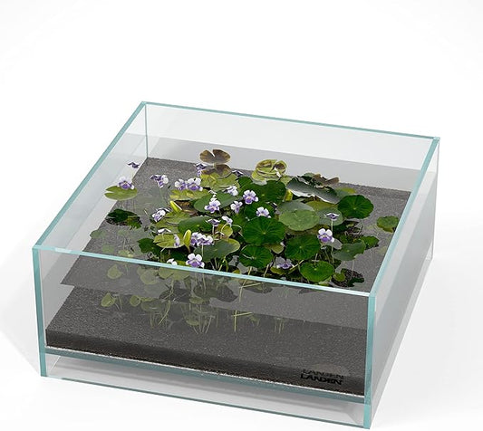 LANDEN Glass Air Aquarium Tank Multi-Scene Landscape Aquarium, 1.6Gallon Rimless Low Iron Shallow Tank,10.63" W×10.63" D×4.72" H (27cmx27cmx12cm) 5mm Thickness
