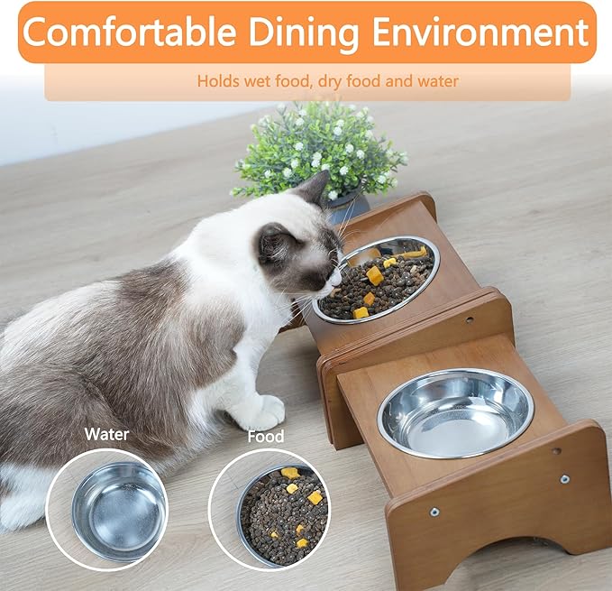 Elevated Stainless Steel Raised Food and Water Bowls, 15 Tilted Anti Vomiting, Dishwasher Safe, Non-Slip, Suitable for Cats and Puppies (Brown) - 2 Pack