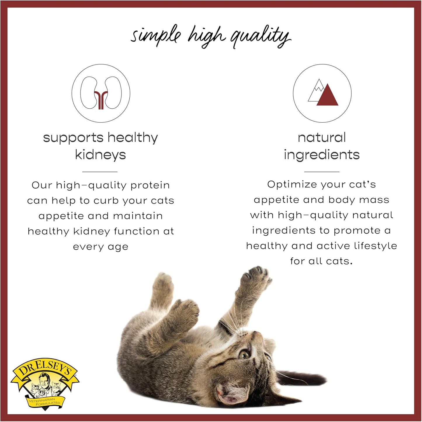 Dr. Elsey's cleanprotein Original Salmon Recipe Wet Cat Food 5.3 oz (Pack of 24)