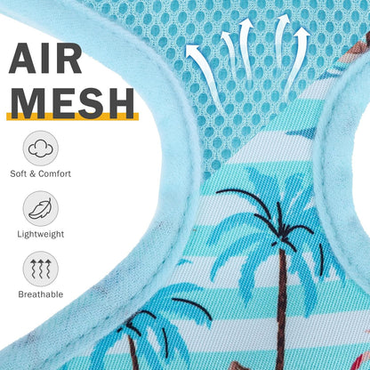 SCENEREAL Small Dog Harness and Leash Collar Set - No Pull Dog Harness for Small & Medium Sized Dogs - Soft Mesh Vest for Puppies, Chihuahua, Yorkie, Spring Summer Hiking Walking, Coconut Tree XS