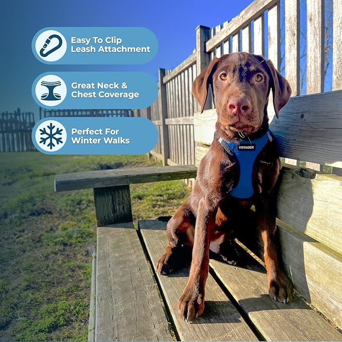 Best Pet Supplies - All Weather Mesh / Plush, Reflective, No Pull Harness for Small, Medium Dogs, Cats - Secure with Hook & Loop Fastener, Buckle, Double D-Rings - Royal Blue Faux Leather, XL