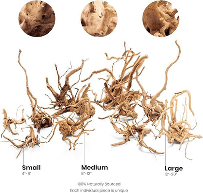 Ultum Nature Systems Driftwood - Spider Drift Wood for Fish Tank, Planted Tank, Terriarium, Paludarium - Versatile Natural Driftwood Decor, Events Wood Centerpiece - Spider Wood, L 15-20", 5 Pack