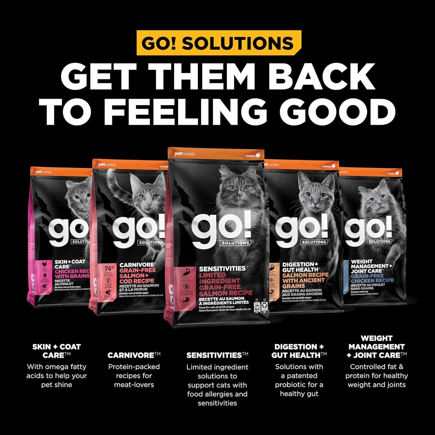Go! Solutions Sensitivities Limited Ingredient, Grain-Free Dry Cat Food, Salmon Recipe for Sensitive Stomach, 6 lb Bag
