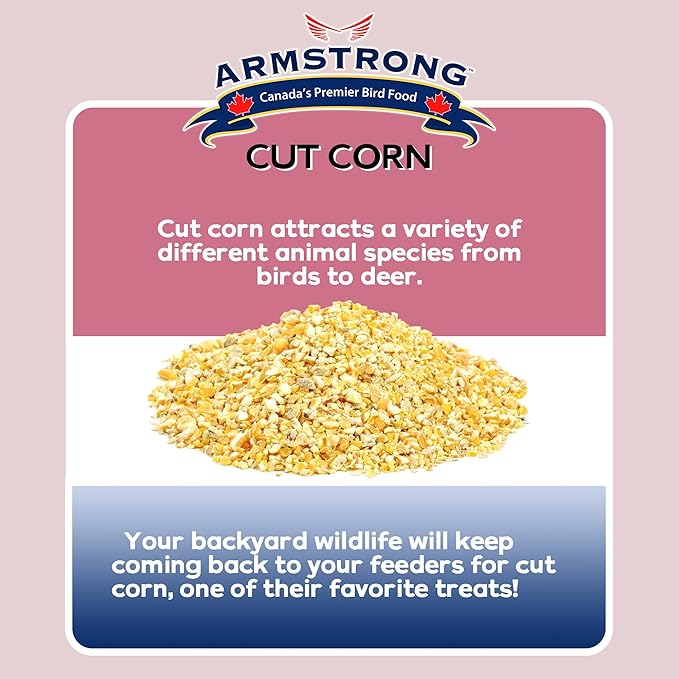 Armstrong Wild Bird Food Cut Corn, 4.4 Pounds - Premium High-Energy Feed for Mourning Doves, Blue Jays, Ducks & Deer - Ideal for Backyard Feeders, Ground Feeding & Outdoor Wildlife