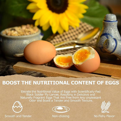 10LB Non-GMO Dried Black Soldier Fly Larvae, Superior Calcium Boost for Chickens, Better Than Dried Mealworms, Poultry Feed Ideal for Molting & Laying Hens, Wild Birds, Ducks | Top Grade BSF