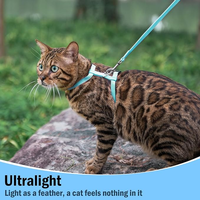 PUPTECK Adjustable Cat Harness and Leash Set Escape Proof Kitten Strap Collar for Walking Travel, SkyBlue