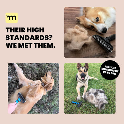 MalsiPree Dog Brush - Large, Orange - 2-in-1 Deshedding Tool & Undercoat Rake, Dog Undercoat Brush - Gentle Dematting Comb & Pet Hair Removal Tool - Smooth-Edge Design & Grooming Comb