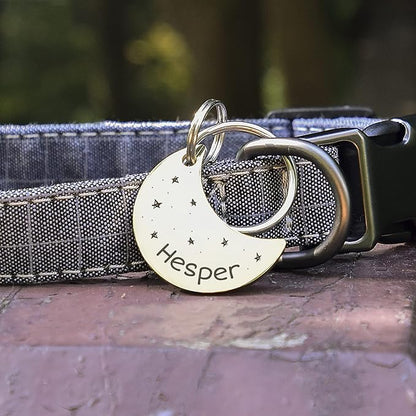 Anavia Small Size Dog Cat ID Tags, Small/XS Personalized Color Plated Stainless Steel Puppy Kitten Name Tags, Customized Engraved Nameplate Pet Collar Tag (Silver, Moon)