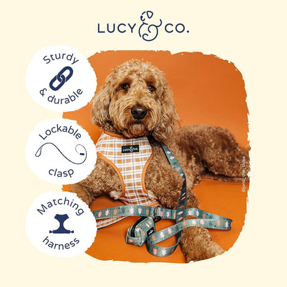 Lucy & Co. Designer Dog Leash - Pet Accessories - Thick Dog Leash - Padded Handle for Comfort - Purple with Green Floral - 5 Foot (Neutral Brown Plaid Blue Trees, Small)