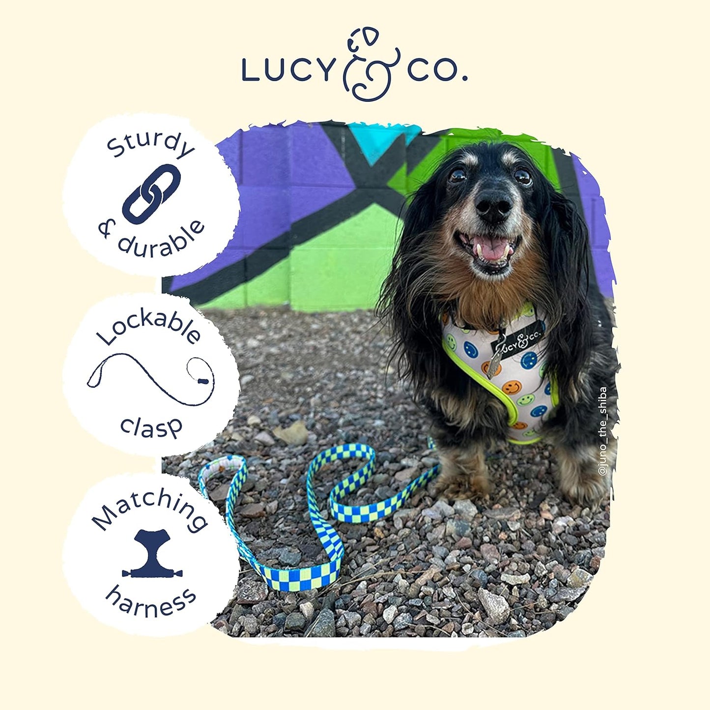 Lucy & Co. Designer Dog Leash - Pet Accessories - Thick Dog Leash - Padded Handle for Comfort - Purple with Green Floral - 5 Foot (Lime Green Blue Checker, Large)