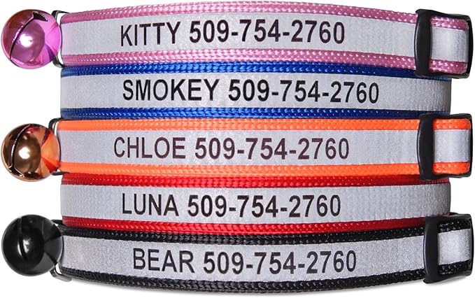 GoTags Personalized Reflective Cat Collars, Engraved Custom Cat Collar with Name and Phone Identification, Breakaway Collar with Safety Release Buckle and Bell, Adjustable for Cats and Kitten (Orange)