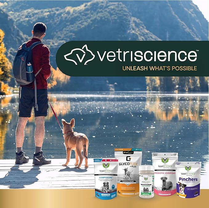 VetriScience Extra Strength Healthy Hip & Joint Chews, GlycoFlex Glucosamine and Green-Lipped Mussel Joint Support Supplement for Dogs, Promote Mobility & Soothe Joint Discomfort, Chicken, 60 Count
